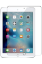 Newface Lenovo M10 HD X306F Tablet Cam Ekran Koruyucu resmi