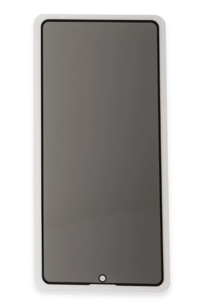 Newface Huawei P40 Lite 3D Antistatik Hayalet Cam Ekran Koruyucu resmi